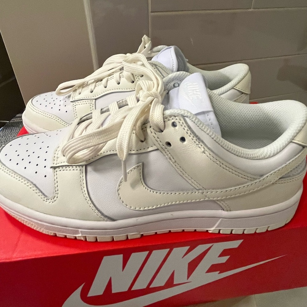 Nike Dunk Low Women’s Shoe (Coconut Milk)
